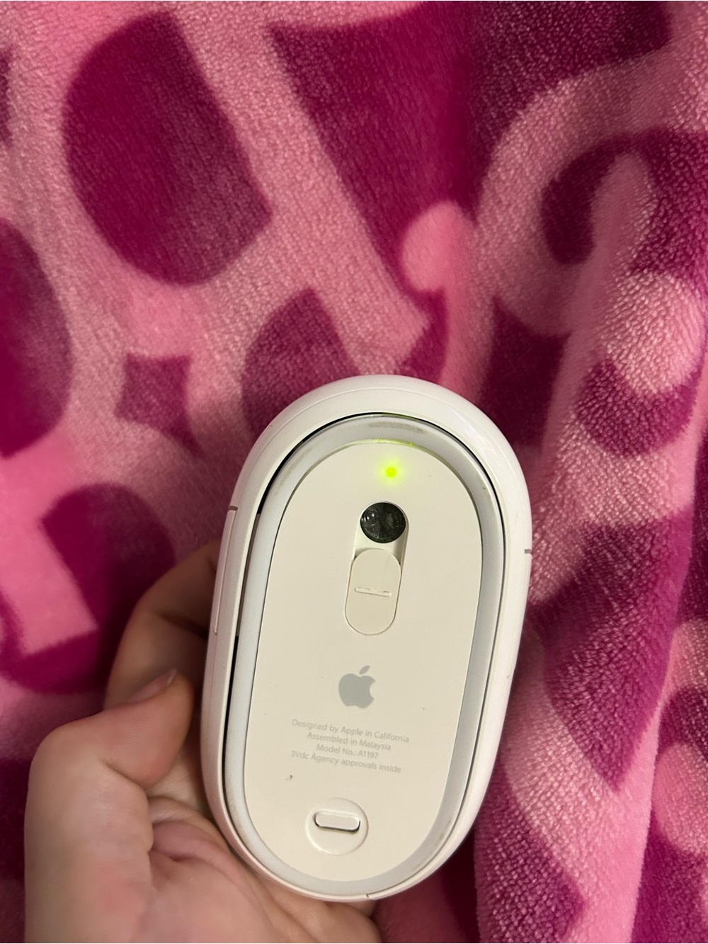 Apple White Magic Mouse (Bottom View)